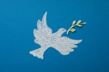 Uluslararası barış günü veya dünya barışı, barışın sembolü - güvercin
