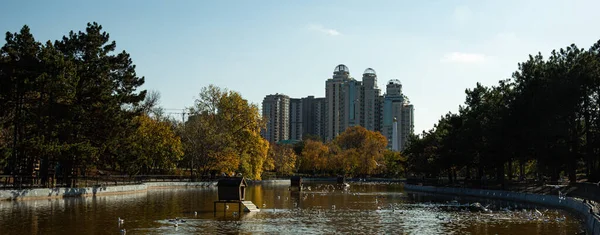 Sonbahar Güneşli Bir Park Büyük Bir Şehirde Güzel Bir Gölü — Stok fotoğraf