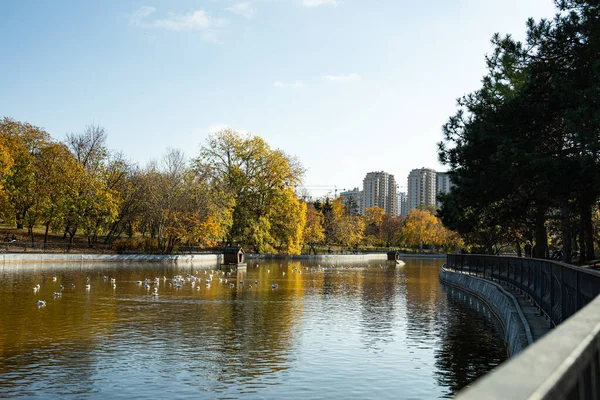 Осень Солнечный Парк Большом Городе Красивым Озером — стоковое фото
