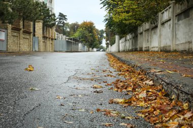 Yağmurlu, sonbahar, sabah şehir parkı.