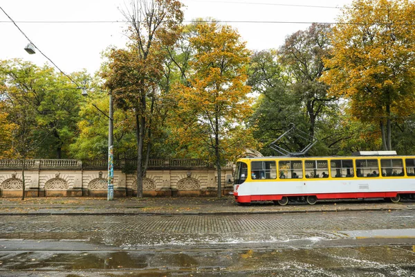 Deszcz Jesień Park Miejski Rano — Zdjęcie stockowe