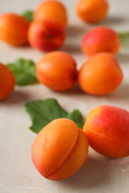 Kayısı ile kompozisyon, lezzetli ve taze meyve kavramı