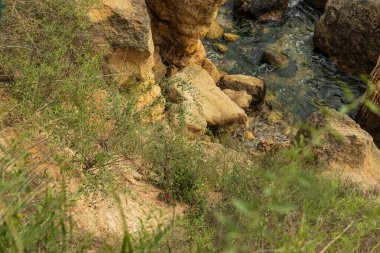 Doğal manzara, taşlar, çimenler ve su. Yaz.