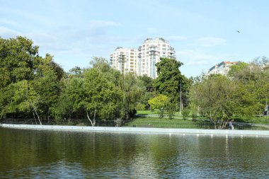 Yazın yerel bir parkta göl..