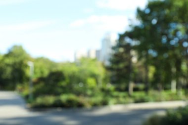 Yazın bulanık görüntüsü yerel park, patika