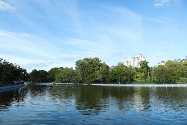 Озеро Местном Парке Летом — стоковое фото