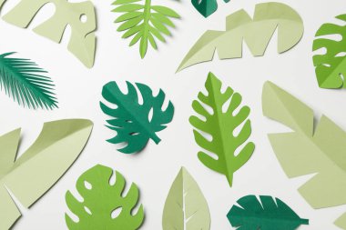 Açık arkaplanda kağıt yeşil tropikal yapraklar