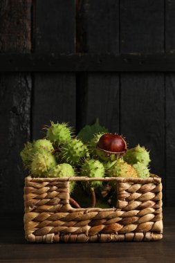 Siyah arka planda sepetin içinde yeşil kestane meyveleri