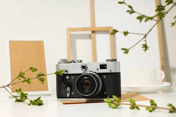 Vintage Kamera Fotorahmen Und Äste Auf Weißem Hintergrund — Stockfoto
