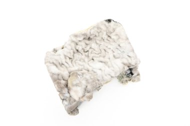 Hafif arkaplanda kalıp, izolasyon, yakın çekim.