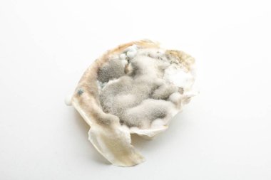 Hafif arkaplanda kalıp, izolasyon, yakın çekim.