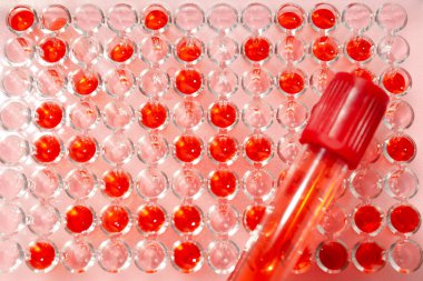 Pembe arka planda sıvı bulunan laboratuvar camları, kapatın.