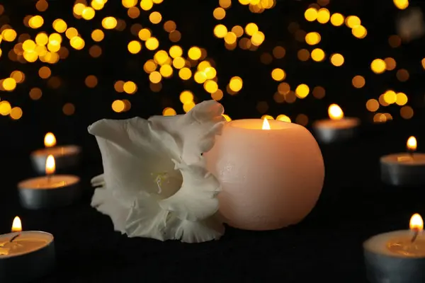在黑色背景上焚烧蜡烛和花朵 — 图库照片