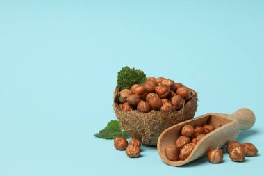 Sağlıklı gıda ve sağlıklı beslenme konsepti, fındık - fındık