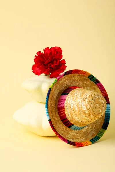 Mexická Sombrero Čepice Dýní Květinou — Stock fotografie