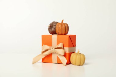 Sonbahar ve sonbahar sezonu, sonbahar sezonu hediyesi ve şimdiki konsept