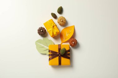 Sonbahar ve sonbahar sezonu, sonbahar sezonu hediyesi ve şimdiki konsept