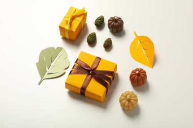 Sonbahar ve sonbahar sezonu, sonbahar sezonu hediyesi ve şimdiki konsept