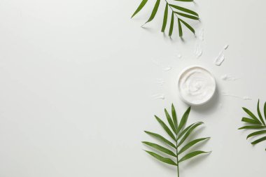 Kremalı kavanoz ve beyaz arkaplanda dallar, metin için boşluk