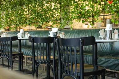 Canlı yeşil süslemeleri olan modern bir kafe.