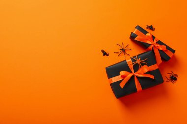 Sonbahar ve sonbahar sezonu, sonbahar sezonu hediyesi ve şimdiki konsept