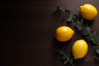 Mutlu Sukkot Festivali, Yahudi bayramı konsepti.