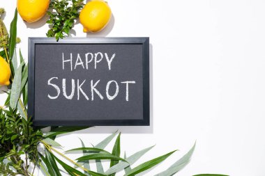 Mutlu Sukkot Festivali, Yahudi bayramı konsepti