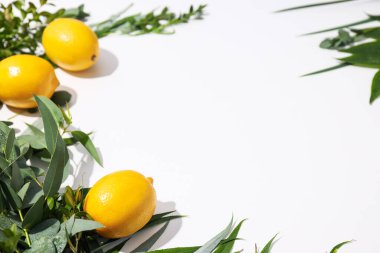 Mutlu Sukkot Festivali, mutlu Yahudi bayramı