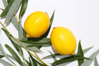 Yahudi bayramı Sukkot. Günün geleneksel sembolleri.
