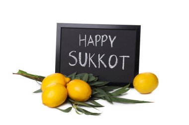 PNG, ağaç yapraklı limon ve beyaz arkaplanda izole edilmiş tahta.