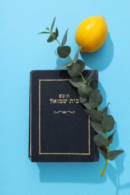 Yahudi bayramı Sukkot. Günün geleneksel sembolleri.