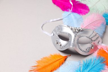 Beyaz arkaplanda karnaval maskesi ve renkli tüyler, metin için boşluk