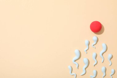 Döllenme kavramı, yumurtlama dönemi, sperm ve yumurta..