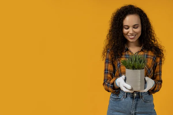 Seorang Gadis Dengan Pot Bunga Tangannya — Stok Foto