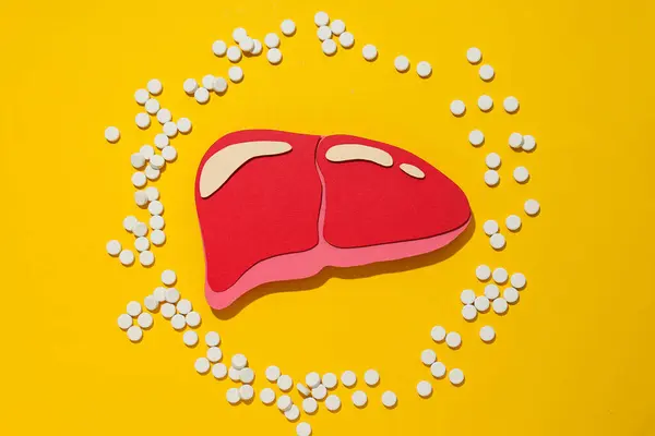 Paper mockup of liver and pills on yellow background, top view
