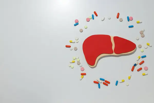 Paper mockup of liver and pills on white background, space for text