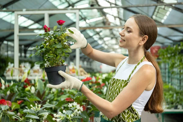 A young girl takes care of indoor plants in a greenhouse.