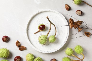 Yeşil, taze kestane meyveleri hafif arka planda bir kasede