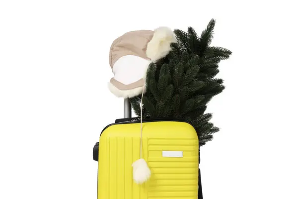 Png Suitcase Christmas Tree Hat Isolated White Background — Stock Photo, Image
