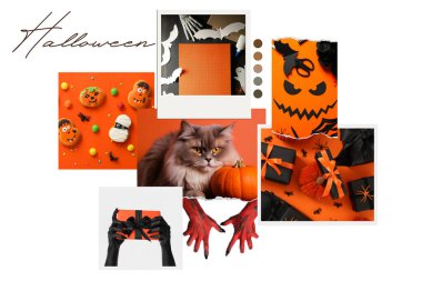 Cadılar Bayramı tarzında beyaz arkaplanda bir fotoğraf koleksiyonu..