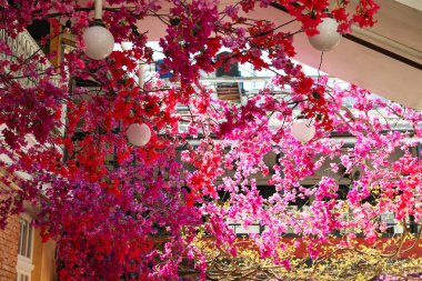 Açık kafede pembe çiçekli ve fenerli çalılar