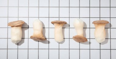 Mantar, sonbahar yemeği konsepti, sonbahar hasadı.