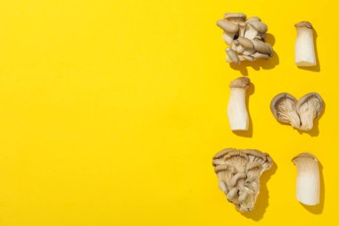 Mantar, sonbahar yemeği konsepti, sonbahar hasadı.