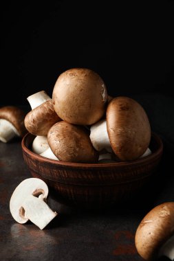 Mantar, sonbahar yemeği konsepti, sonbahar hasadı.