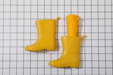 Yağmurlu havanın ana özelliği - şemsiye