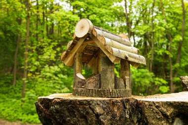 Parktaki güzel ahşap kuş yemi