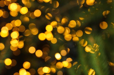 Bulanık sarı ışıklar ve noel dalları, metin için boşluk