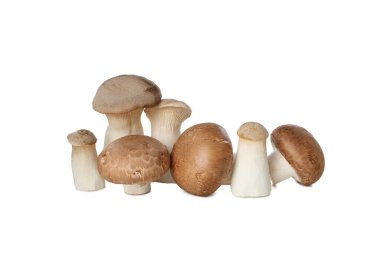 PNG, soyulmuş taze mantar seti, beyaz arka planda izole edilmiş.
