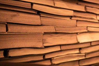 Kütüphanedeki raflarda eski kitaplar var.