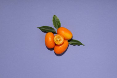 Kumkuat ve yapraklar mor arkaplan, üst görünüm